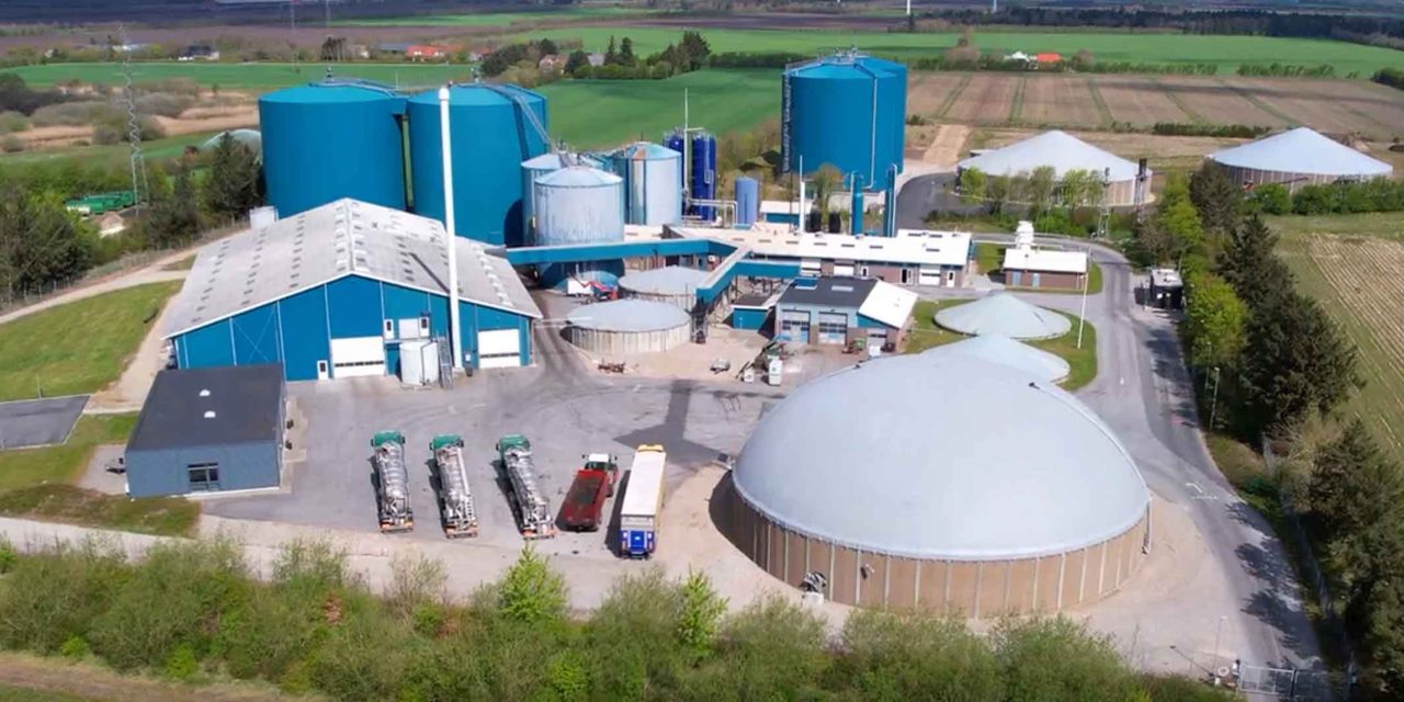 Historiens vingesus giver Ribe Biogas medvind ind i fremtiden